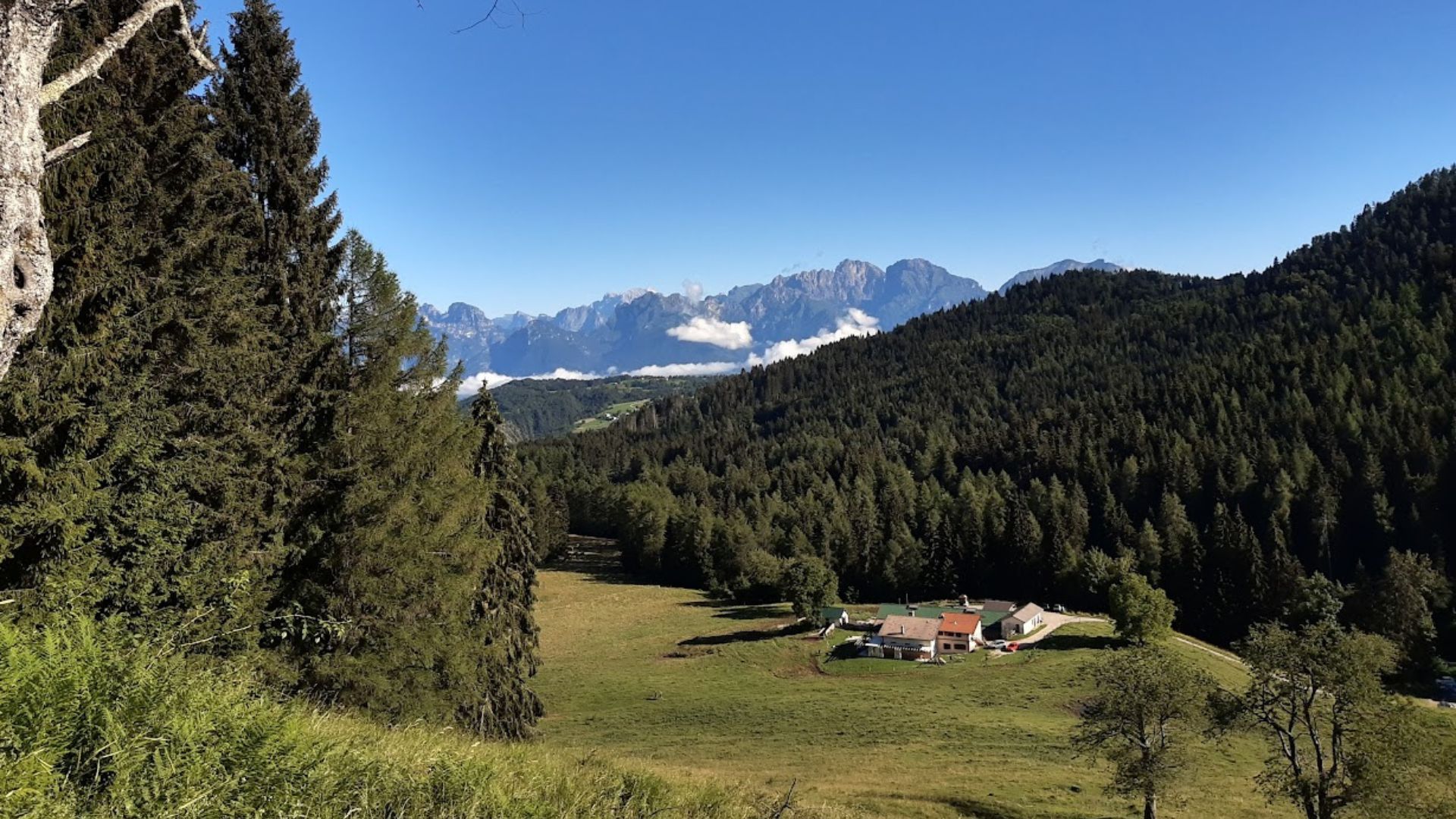 Tra Malghe e Boschi  