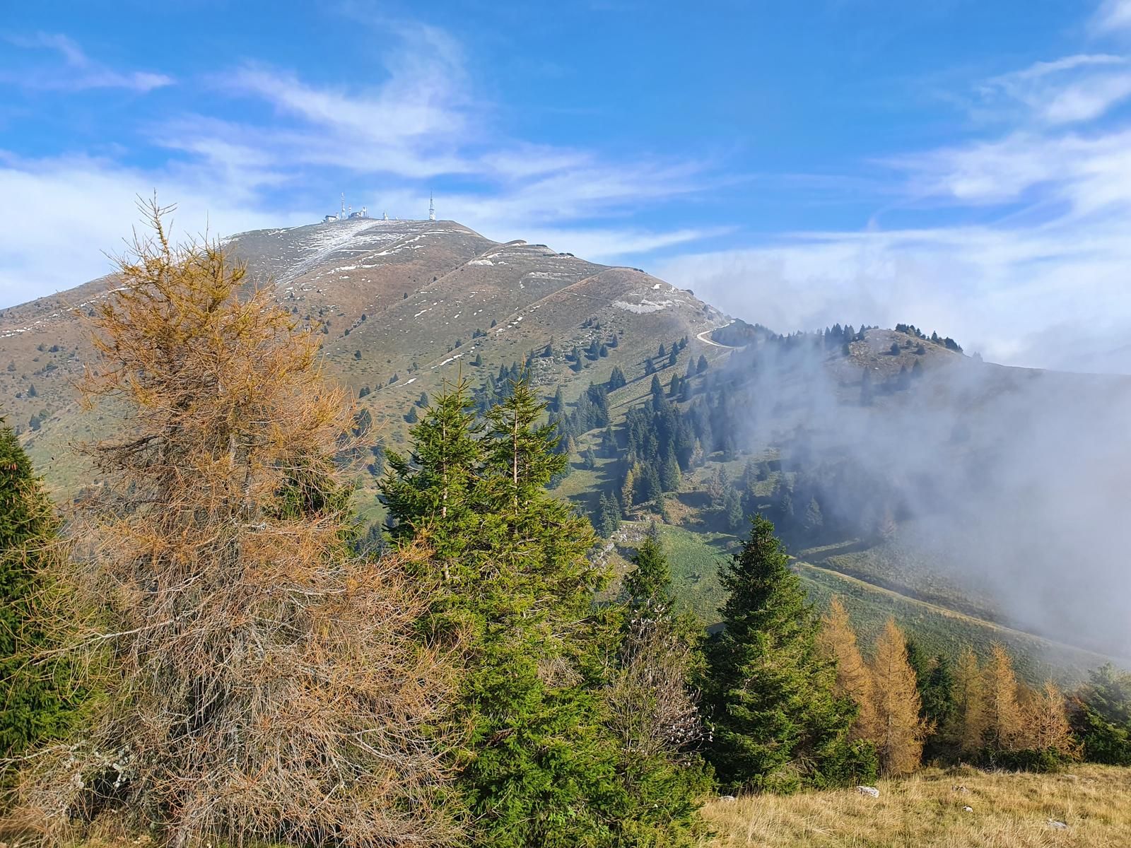 Tra Malghe e Boschi  