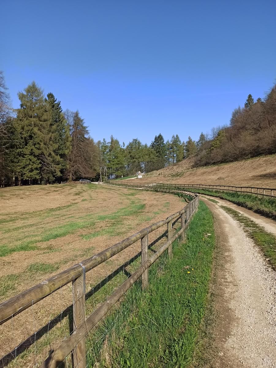 Tra Malghe e Boschi  
