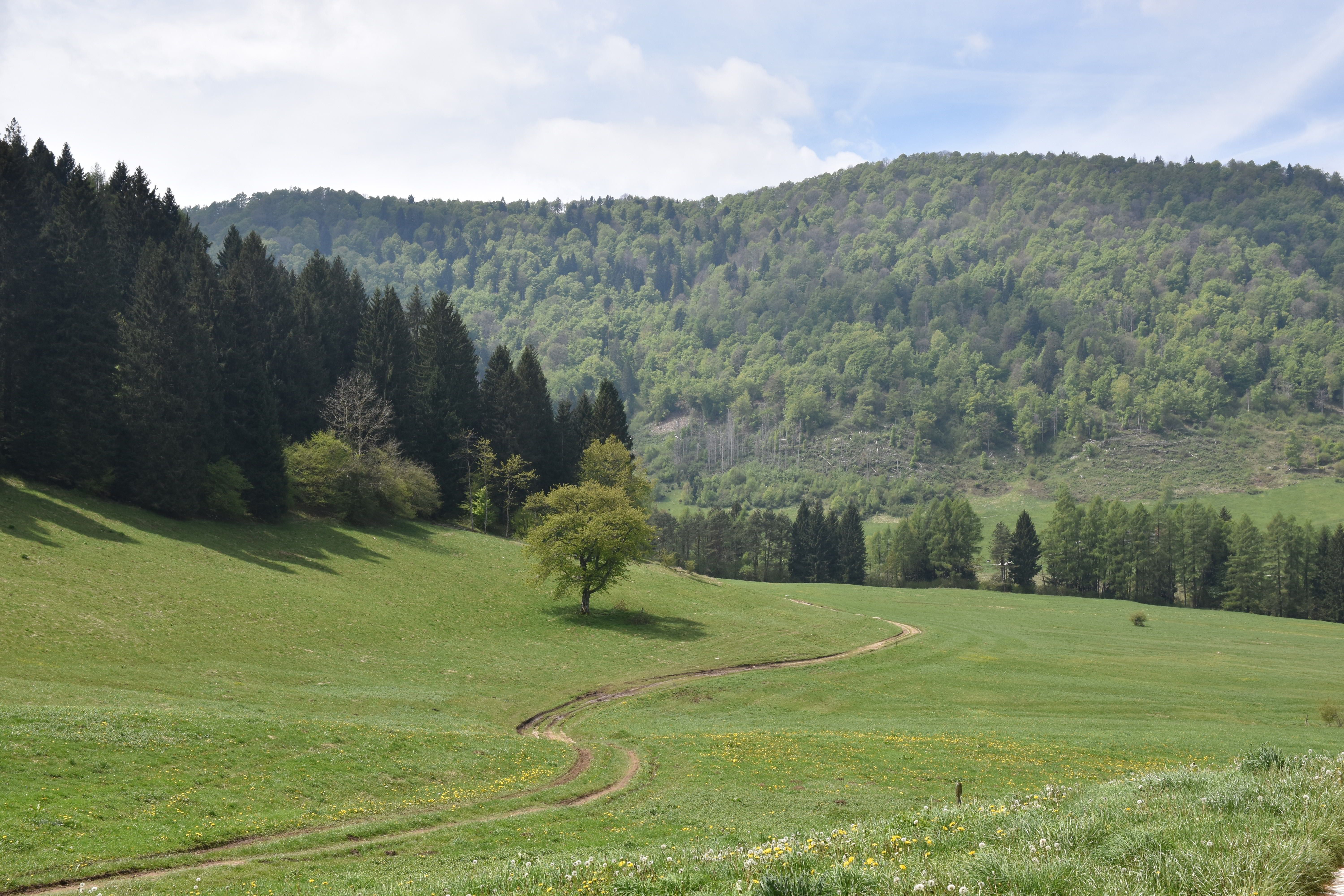 Tra Natura e Memoria