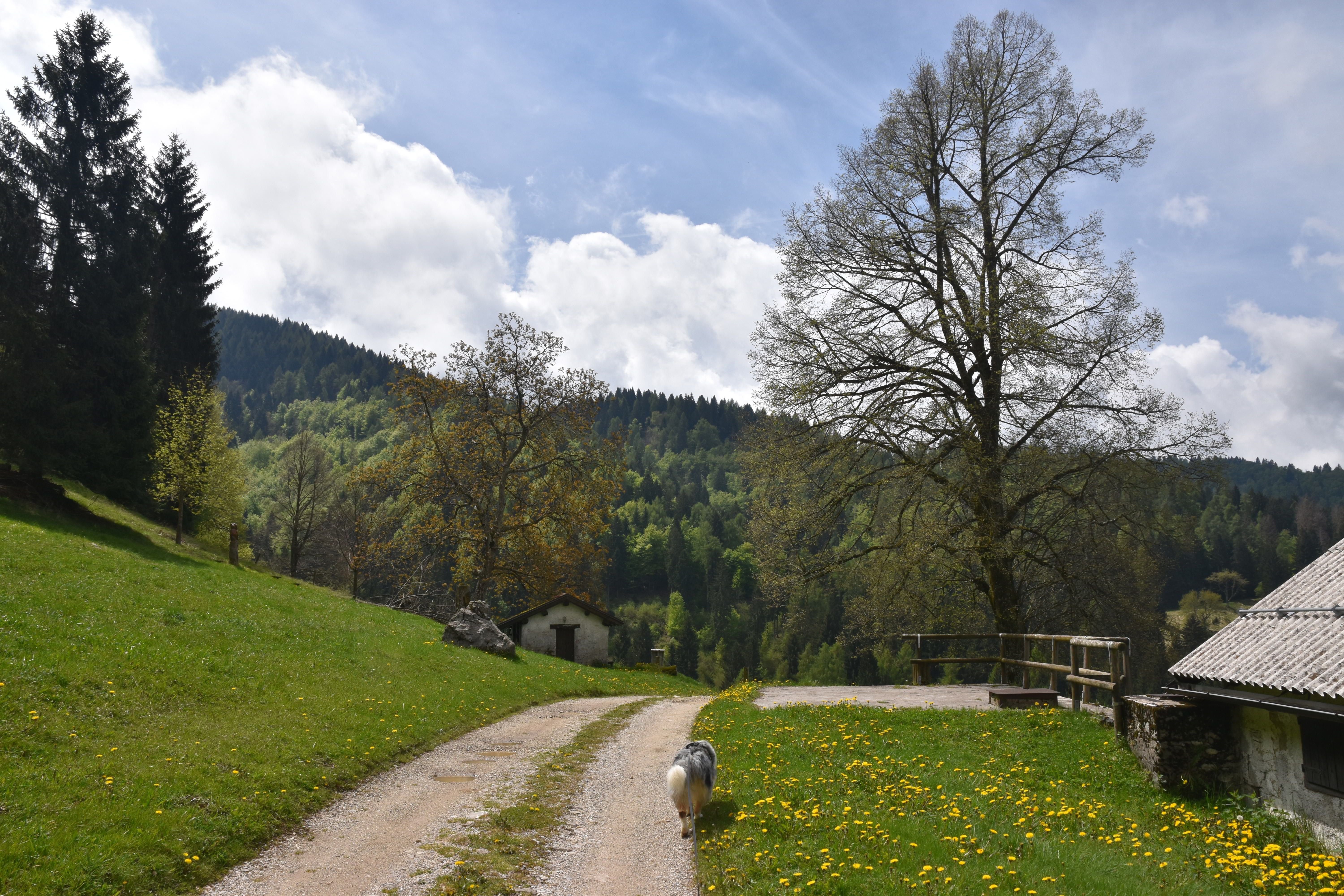 Tra Natura e Memoria