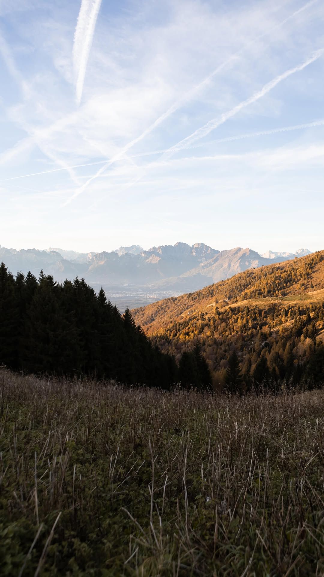 Tra Malghe e Boschi  