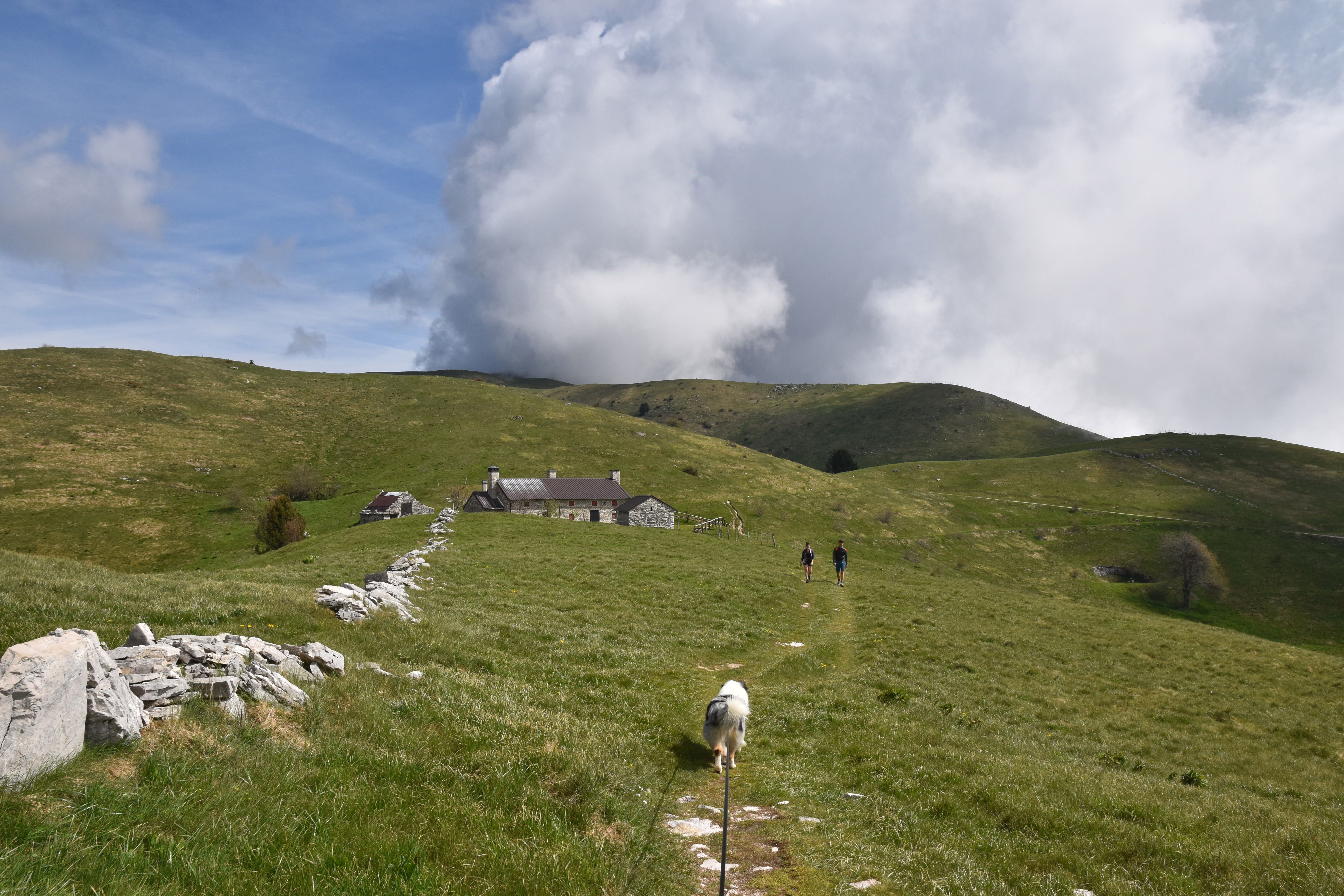 Tra Natura e Memoria