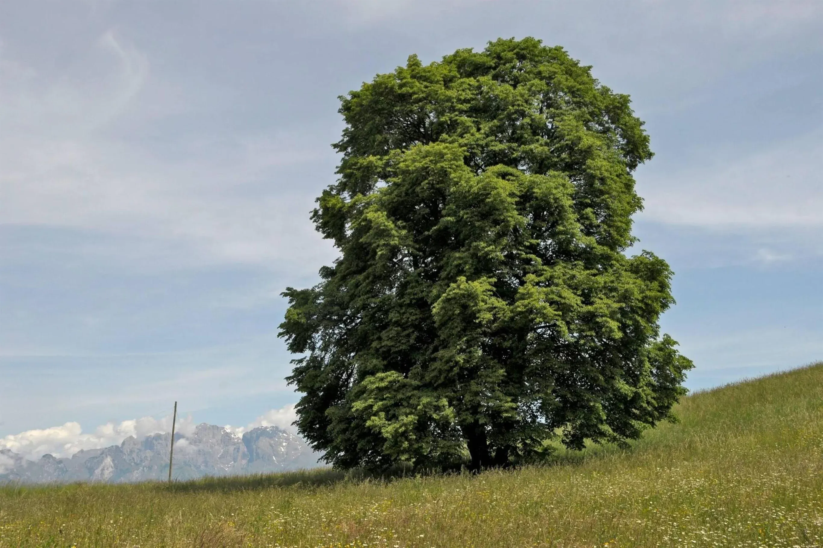 Un percorso tra Arte e Natura