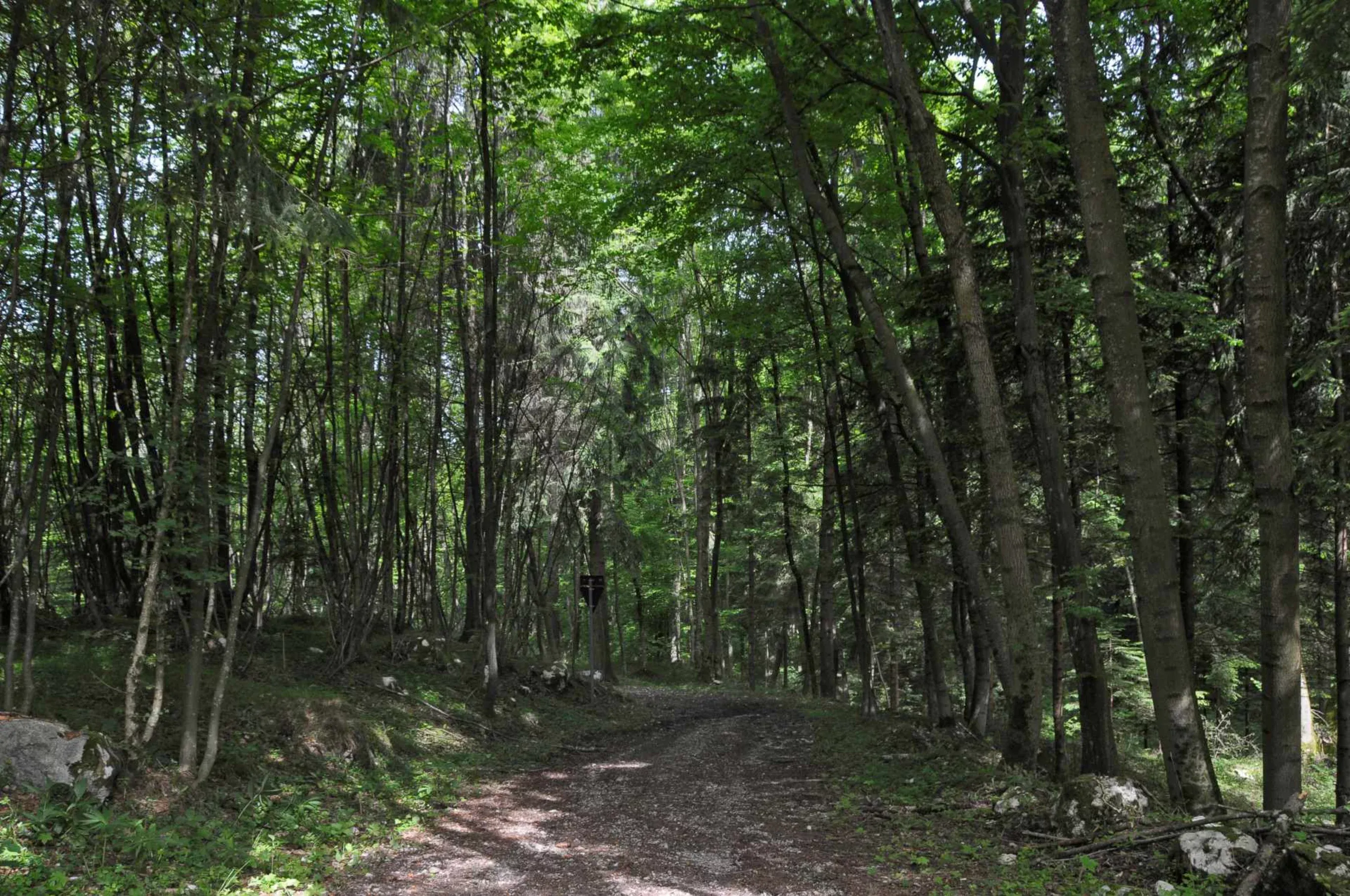 Un percorso tra Arte e Natura