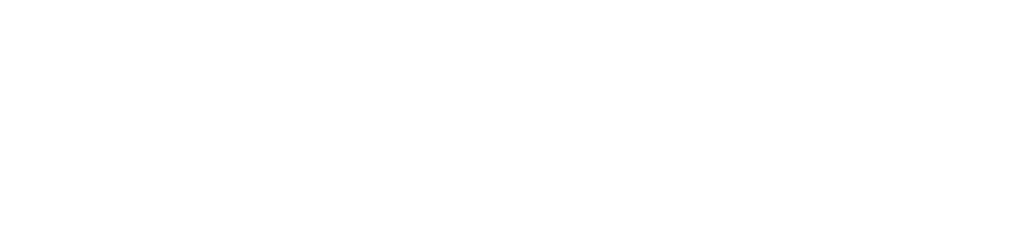 partner image